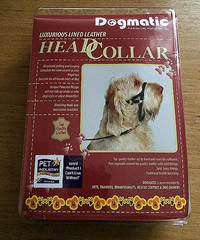 dogmatic headcollar stop pulling on the lead dog training kent
